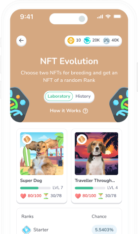 NFT Evolution