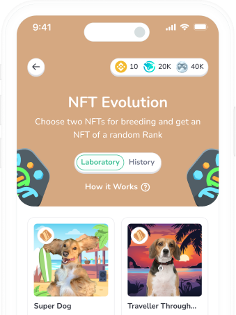 NFT Evolution